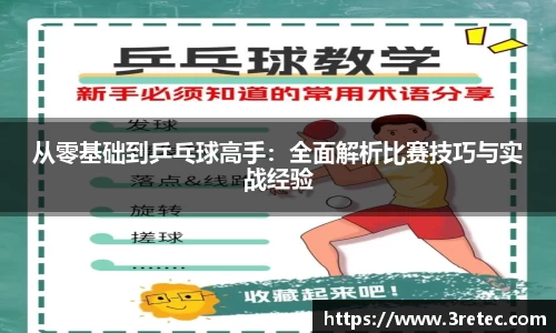 从零基础到乒乓球高手：全面解析比赛技巧与实战经验